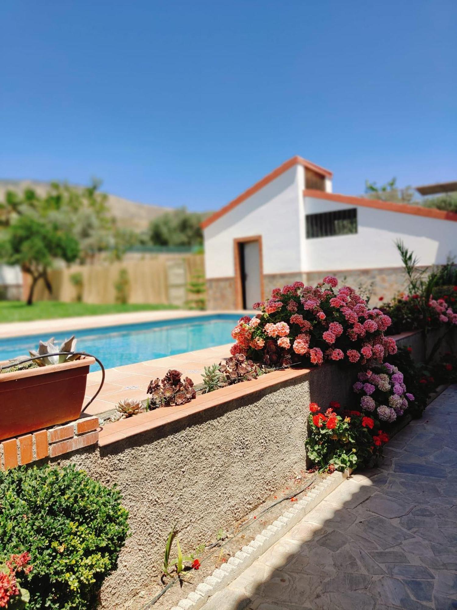 Casa Rural Las Cuatro Flores Orgiva Bagian luar foto
