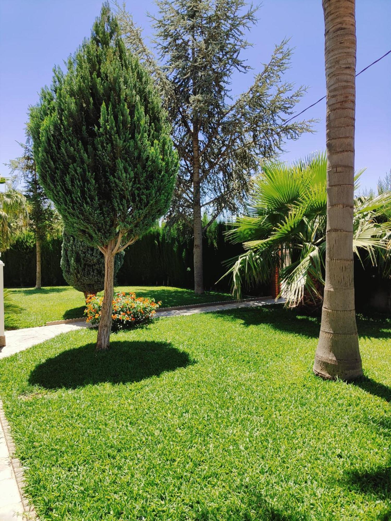 Casa Rural Las Cuatro Flores Orgiva Bagian luar foto
